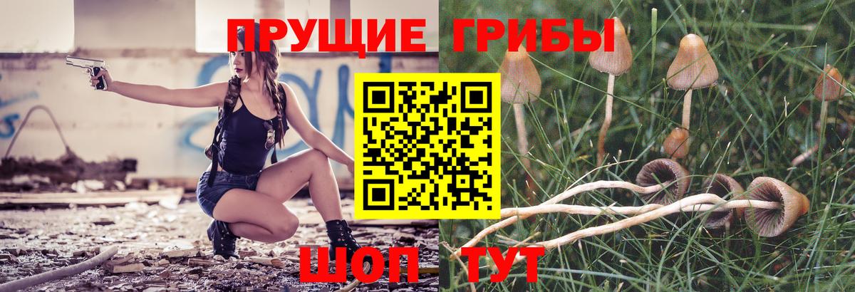 Галлюциногенные грибы ЛСД Черняховск